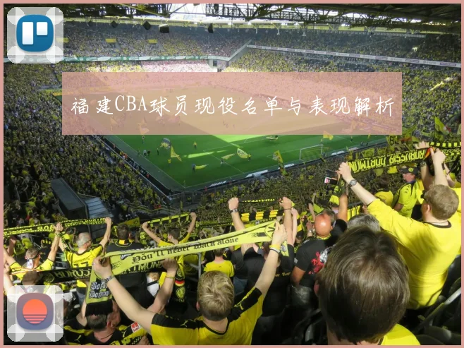 福建CBA球员现役名单与表现解析