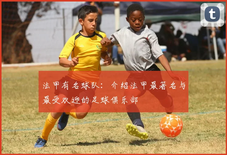 法甲有名球队：介绍法甲最著名与最受欢迎的足球俱乐部