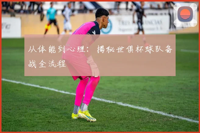 从体能到心理：揭秘世俱杯球队备战全流程
