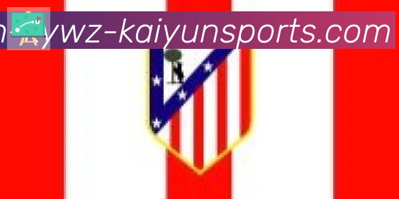 ky开云合作伙伴