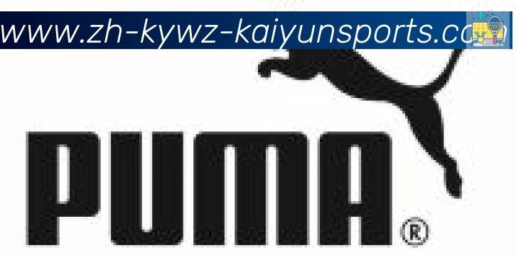 ky开云合作伙伴